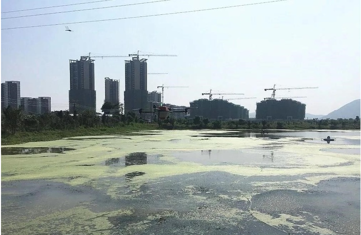 小龍蝦養(yǎng)殖場